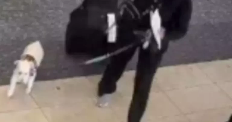 Woman drowns dog in airport bathroom