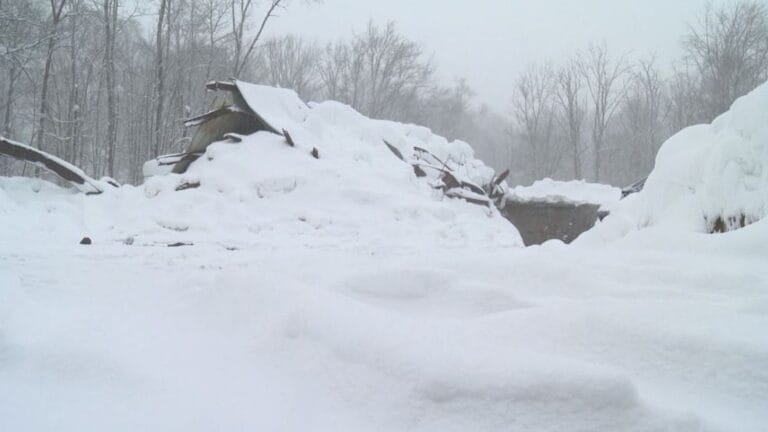 winter damages millions of farms in New York